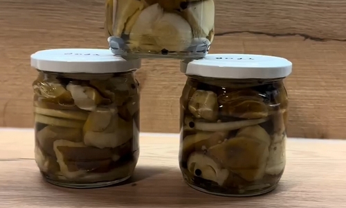 Nakládané houby - starý rodinný recept