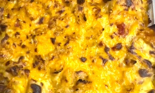 Těstoviny s krůtím masem, rajčatovou a sýrovou omáčkou